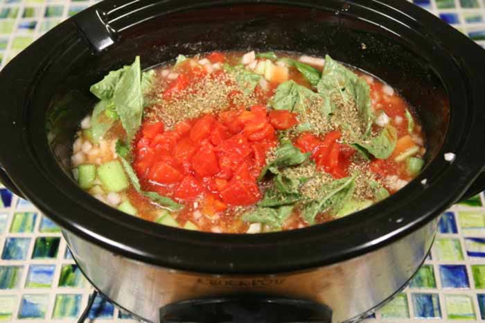 Add the tomatoes, celery, onion, basil, and broth to a large slow cooker. Cook on low for 8 to 10 hours.