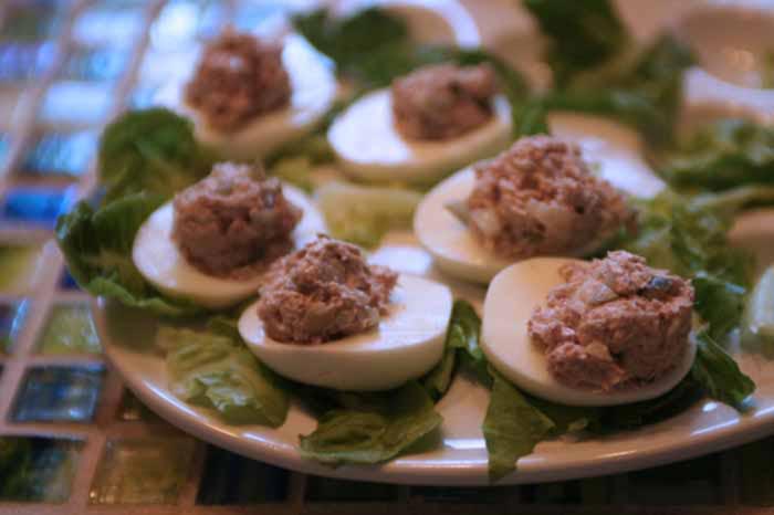 Tuna Salad5