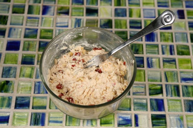 Chicken Salad2