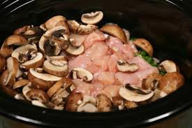 Shredded Chicken1