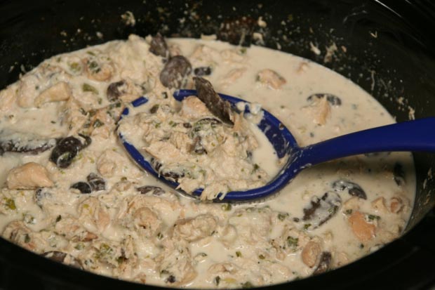 Shredded Chicken
